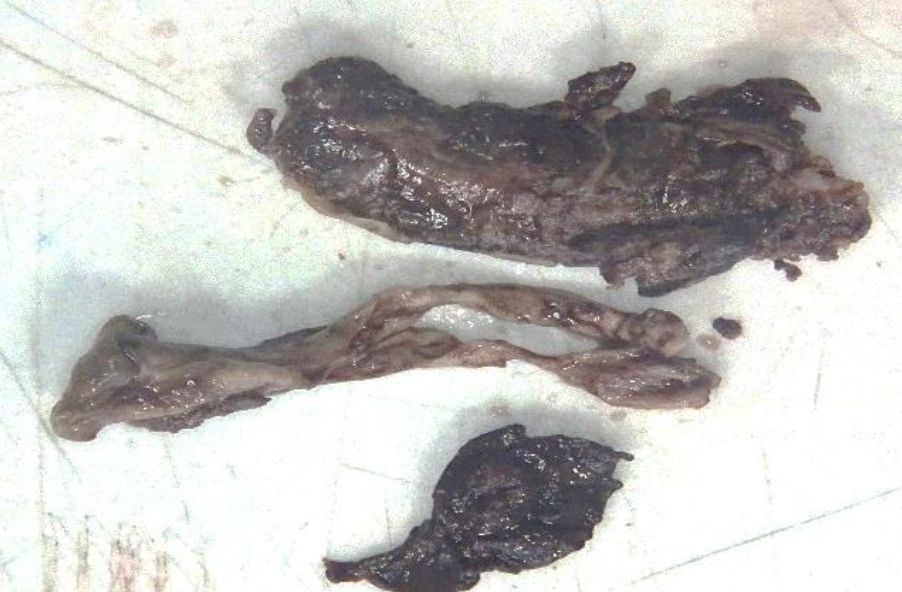 Description of the image